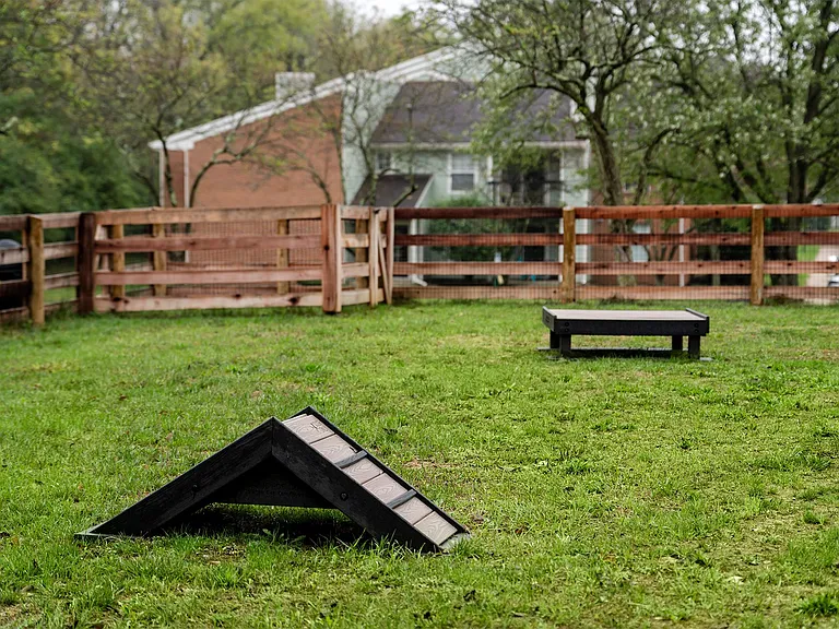 Steeplechase — Photo 49