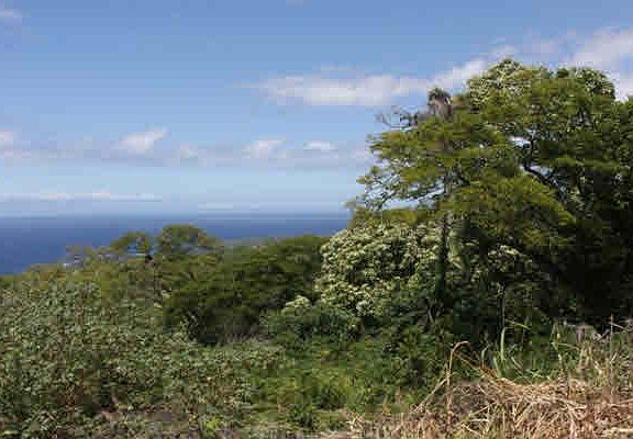 2nd image of 85-4679 Mamalahoa Hwy Lot 7