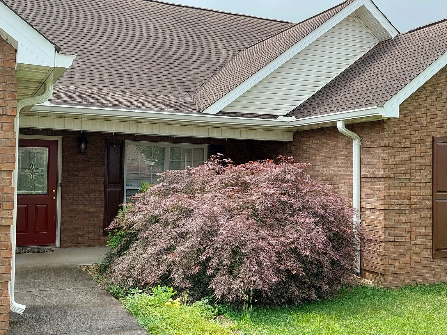 4 bed, 2233 sqft, $2,600 — Photo 2