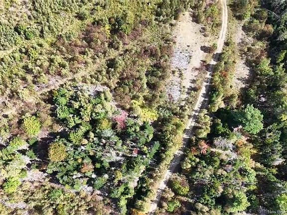 3rd image of Saint David Ridge Rd