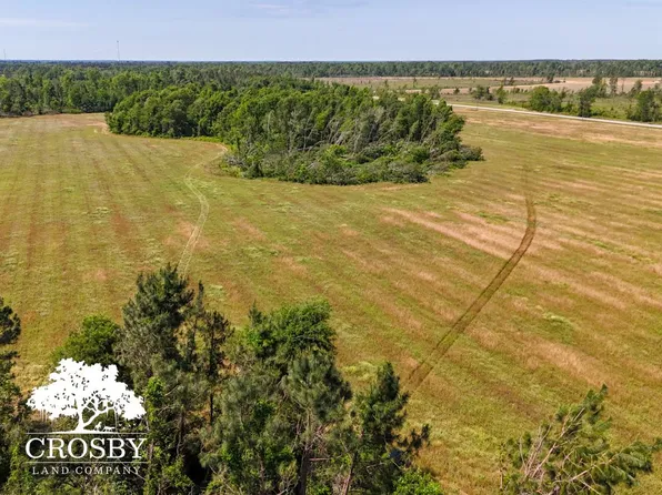 3 Highway 56, Midville, GA 30441