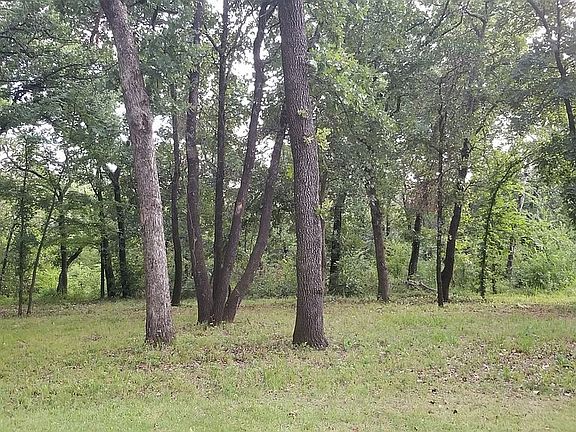 5th image of 148 Spanish Oak Dr