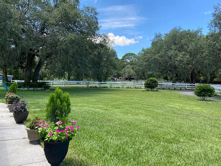 A view of the sidewalk in front of the house, and front lawn.