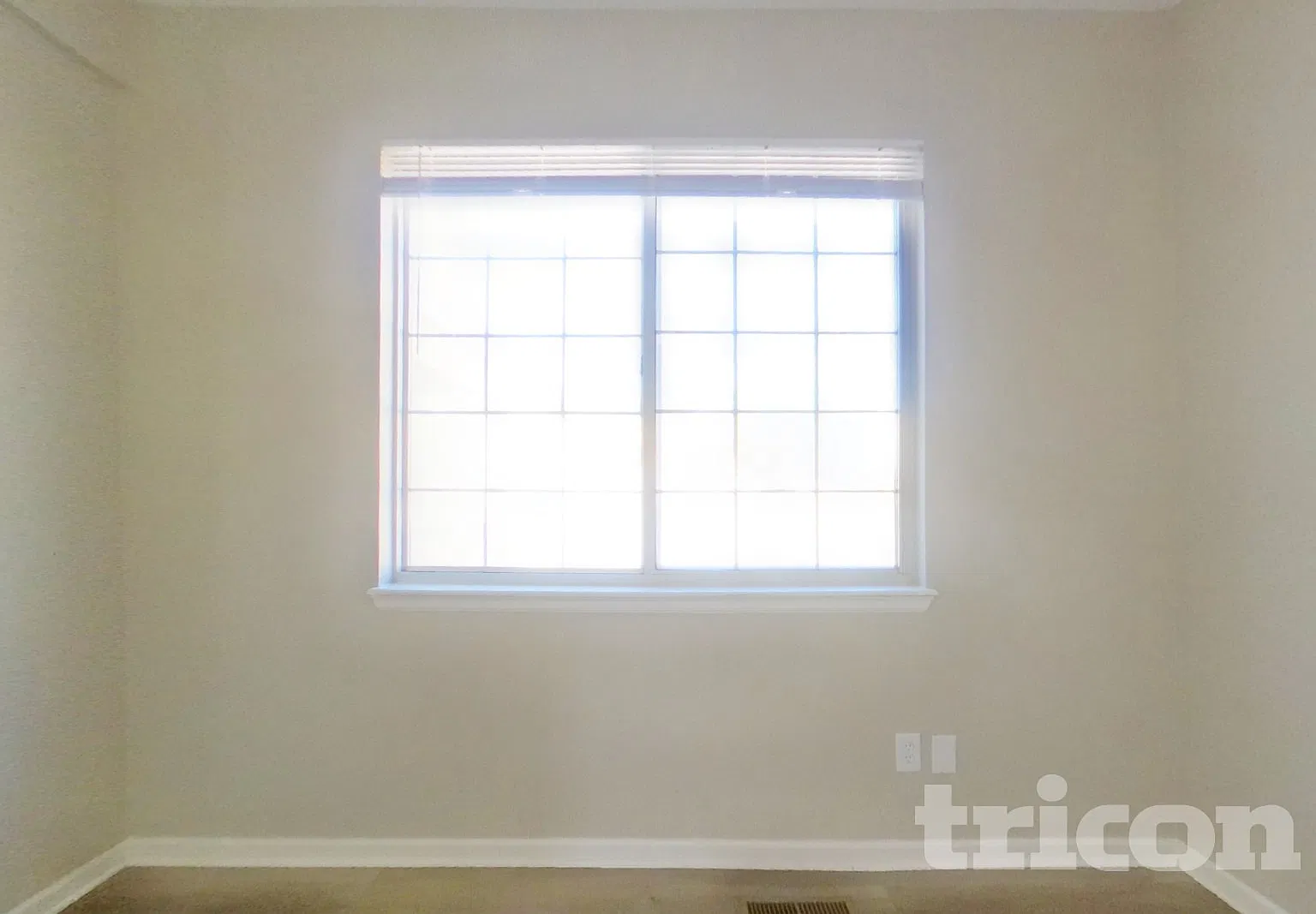 21737 Saddlebrook Drive Parker CO — Photo 3