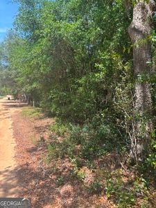 90 Rivermoss Rd, Reidsville, GA, 30453