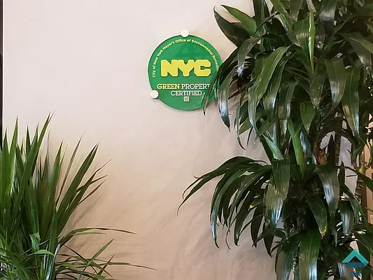 Rented by EXR | media 9