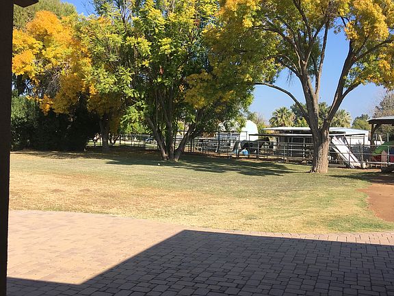 Back yard to the east