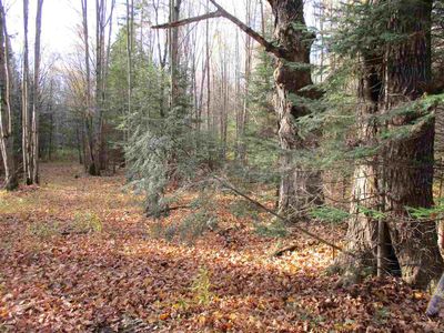 Water Dr, Medford, WI, 54451