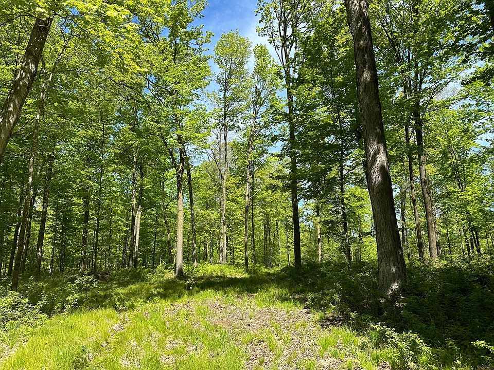 2nd image of N 28th Ave