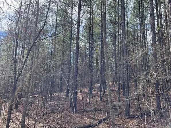 769 Timber Creek Trl, Broken Bow, OK 74728