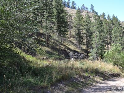 117 Falls Creek Dr, Bellvue, CO, 80512