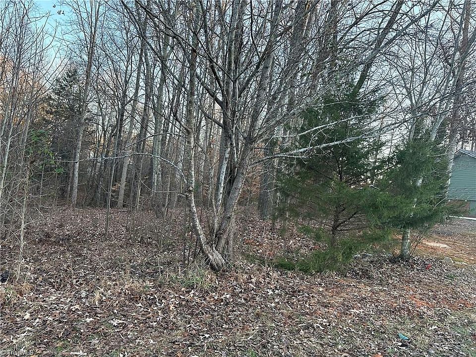2nd image of 0 Booker T Womble Rd