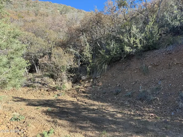 22550 S GLADIATOR MINE Road #-, Crown King, AZ 86343