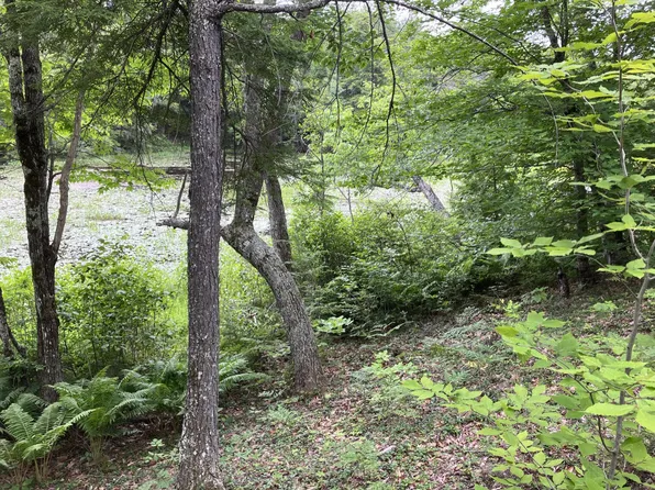 0 Mildred Lane, Limington, ME 04049