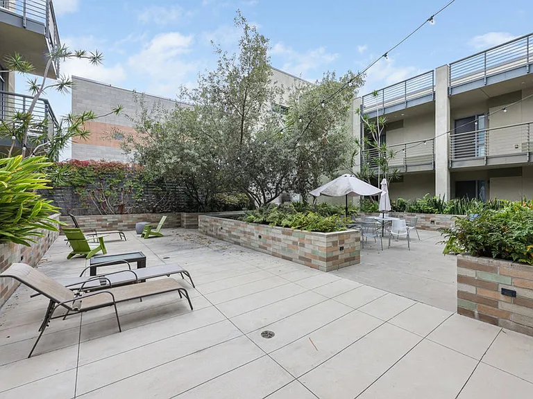 Olea — Photo 15