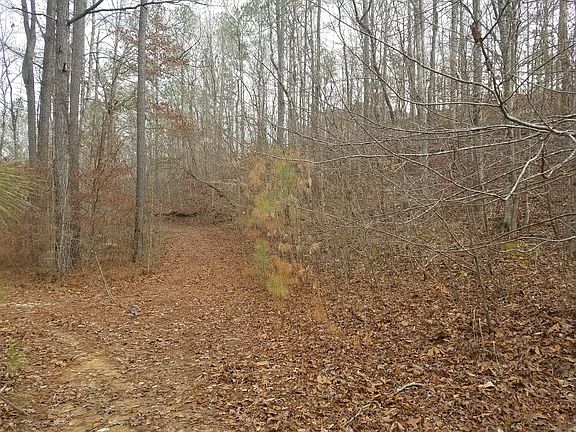 5th image of Falls Creek Dr #24B