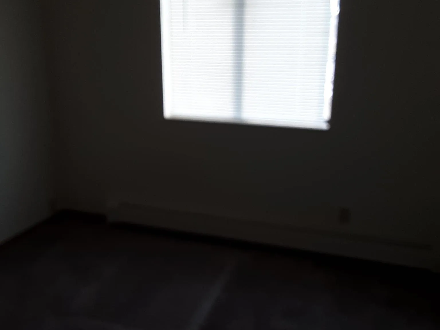 2 bed, 800 sqft, $1,075 — Photo 2
