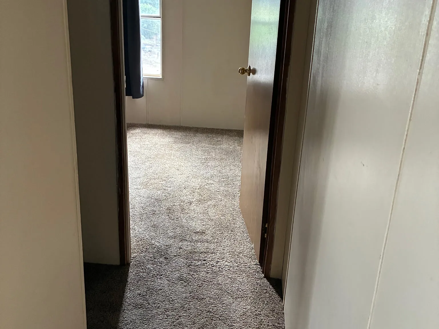 2 bed, 800 sqft, $1,150 — Photo 2