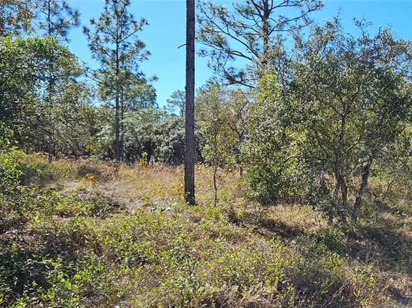 Lots 34 & 35 Sw Mango Ln #34, Dunnellon, FL 34431