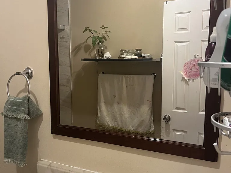 2 Tulip Ct — Photo 27