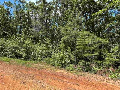 685 Chad Ln Lot 109, Pickwick Lake, TN, 38365
