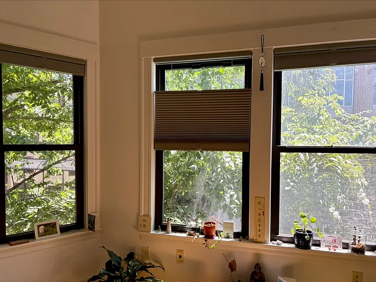 August 2026: Current living room with blackout cellular shades installed.