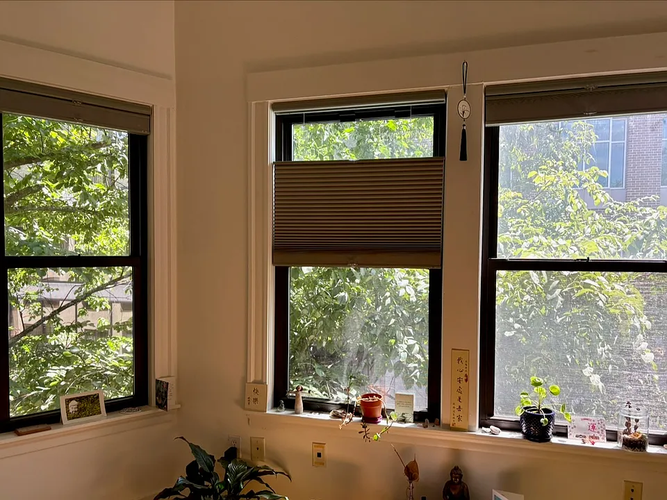 August 2026: Current living room with blackout cellular shades installed.