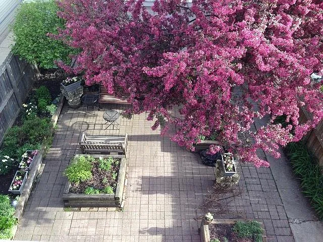 paved patio for summer fun