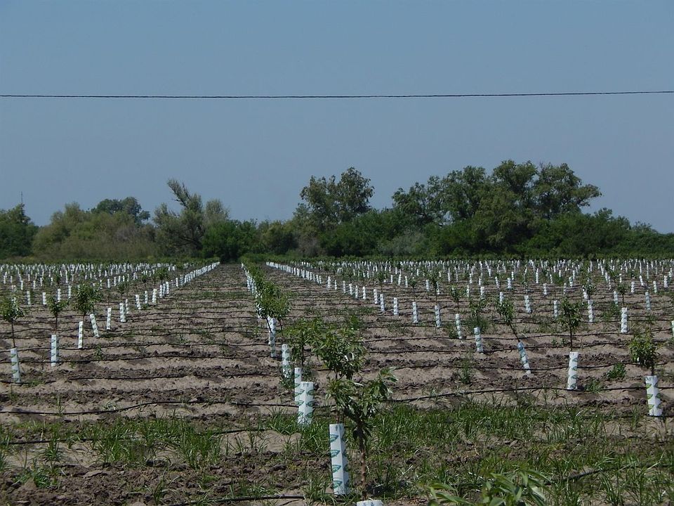 2nd image of 7298 W Highway 12