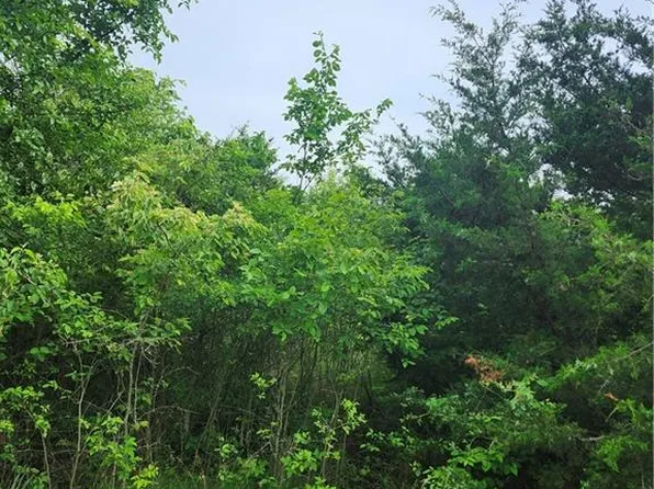22 Foxwood Dr, Linn Valley, KS 66040
