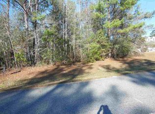 242 Cat Tail Bay Dr LOT 38, Conway, SC 29527