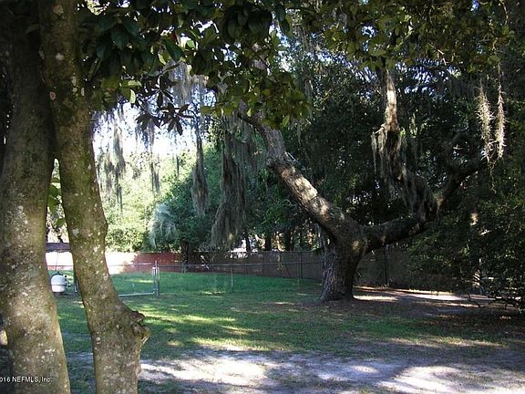 Lovely Trees!