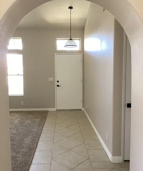 3716 Vireo Dr — Photo 4