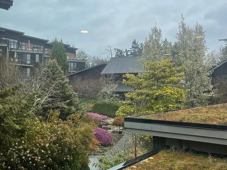 978 Vineyard Ln #200 — Photo 20