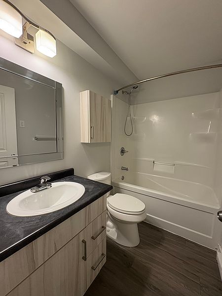 Winnipeg Apartment for rent - 2 Bedrooms — photo 8