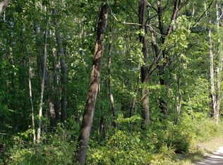 Hannah Rd, Remus, MI 49340