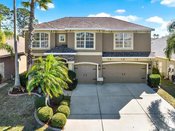 23916 Plantation Palms Blvd, Land O Lakes, FL 34639