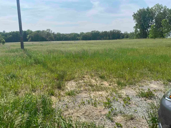 N Eleven Mile Rd, Linwood, MI 48634