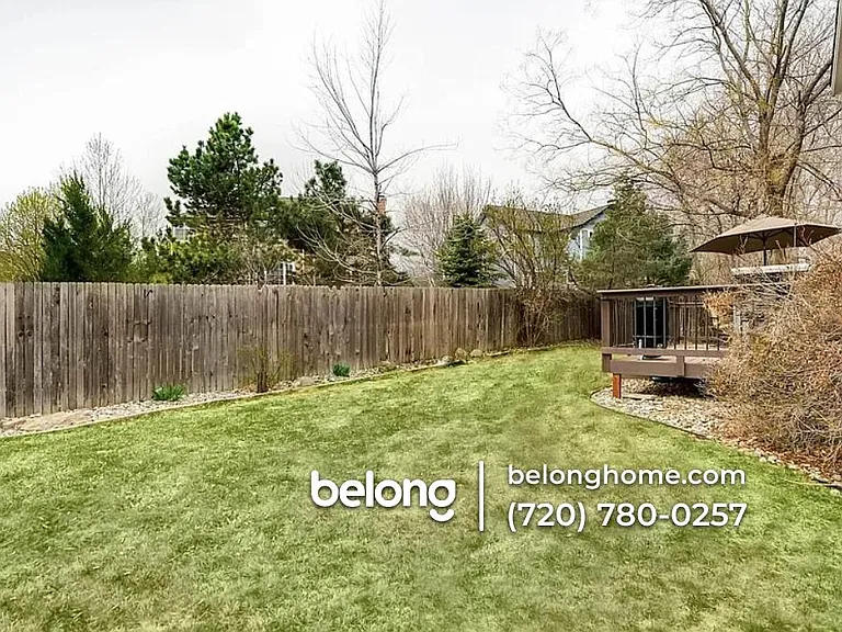 10328 Stoneflower Dr — Photo 2