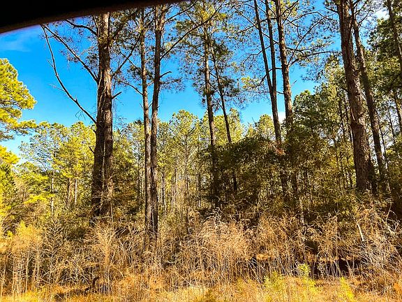 3rd image of 14 Union Springs Rd