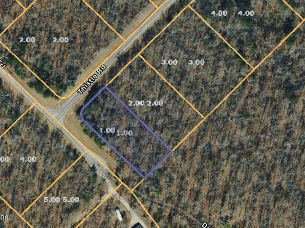 1 Thistle Rd, Monterey, TN 38574