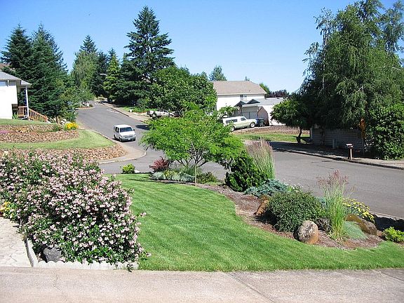 Front yard