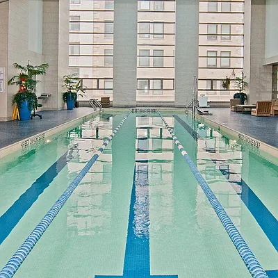 Rented by Bond New York | media 3