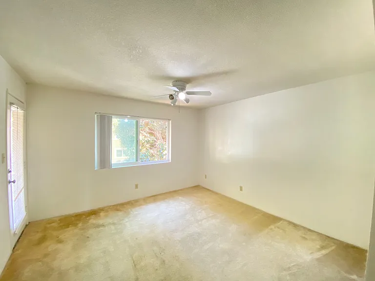 7405 Charmant Dr #2102 — Photo 10