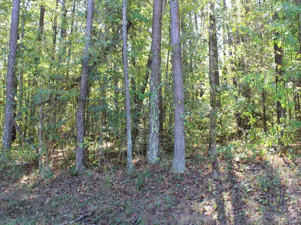 0 County Road 134, Bremen, AL 35033