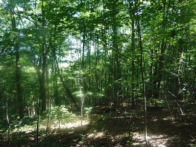 980 Walton Furnace Rd, Max Meadows, VA, 24360