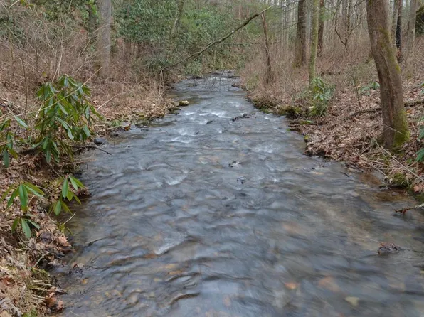 18 & 19 Sarvis Trl, Hayesville, NC 28904