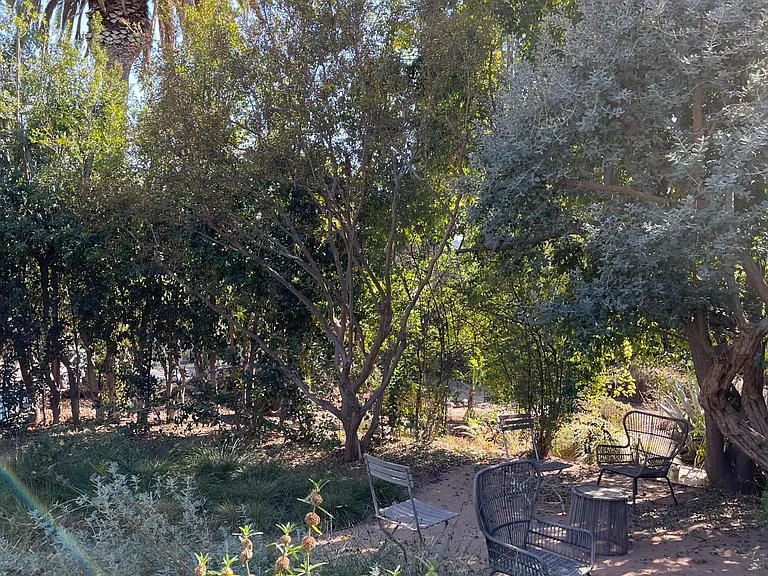 Shared Front Yard