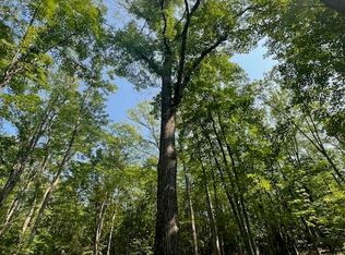 E Pere Cheney Rd, Roscommon, MI 48653