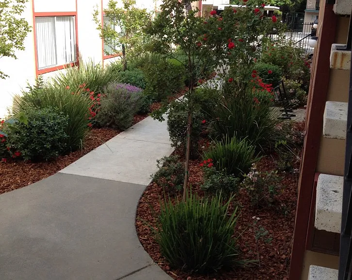 2315 N St #3 — Photo 11